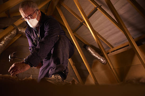 Best Insulation Materials and Products in Newk, AR